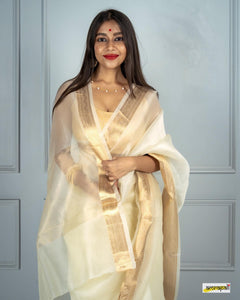 Cream Kora Organza Noor soft silk - AbirabyBeena